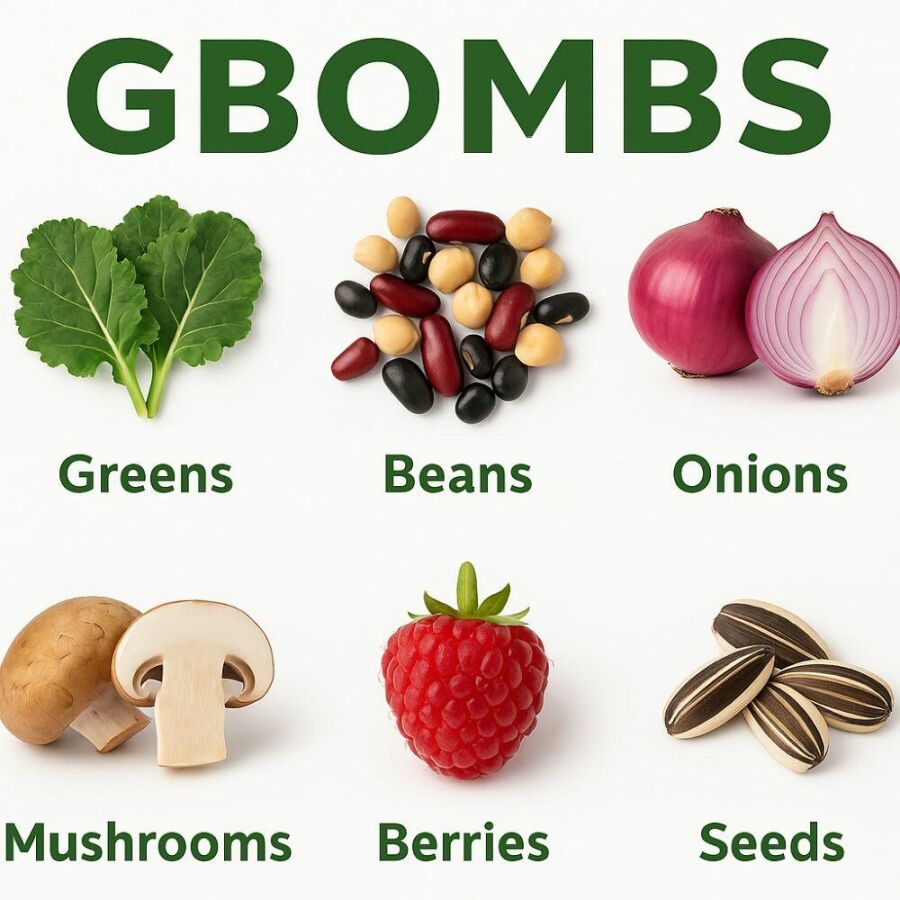 Imagem GBOMBS-nutrição-inteligente
